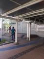 Blk 34 Whampoa West (Kallang/Whampoa), HDB 3 Rooms #137397672